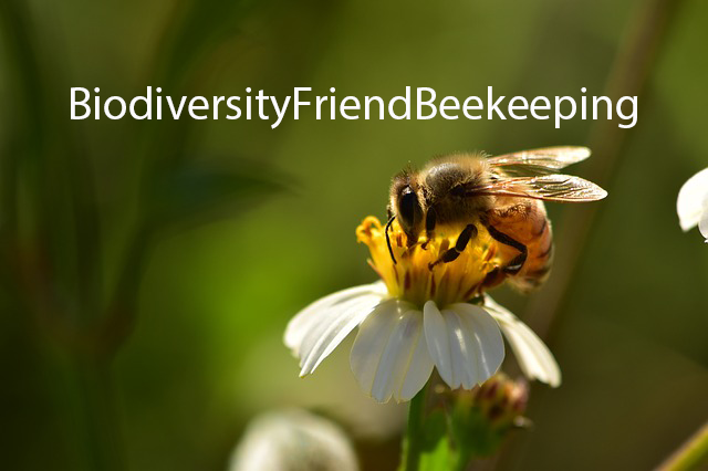 WBA_social's tweet photo. #oggi #27ottobre siamo a #Apimell #PiacenzaExpo #BFB #BiodiversityFriendBeekeeping #ApieBenessere https://t.co/wuBbRAoEii