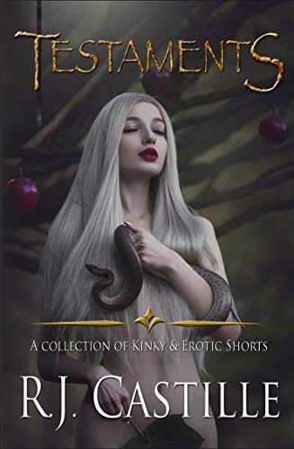 November 2019's Book of the Month = Testaments - amazon.com/gp/product/B07…