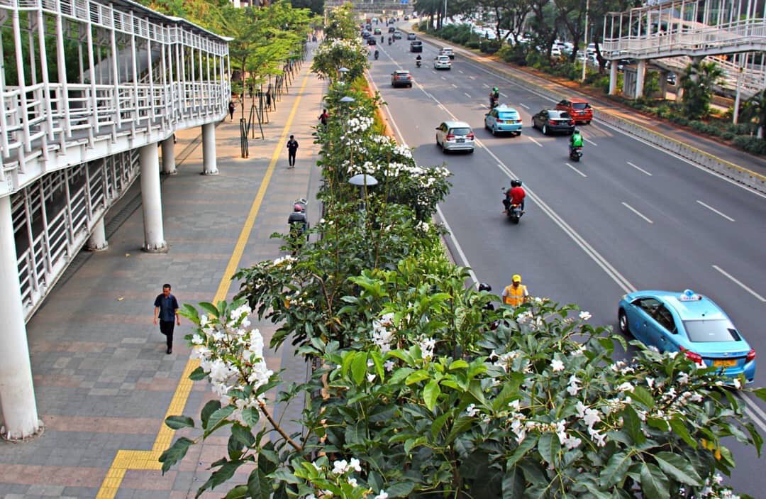 aniesbaswedan's tweet photo. Dari @KehutananDKI
⁣
Teman-teman,⁣ coba deh liat pohon-pohon tabebuya sepanjang jalan Sudirman Thamrin mulai bermekaran lho!⁣

Selamat berakhir pekan semua.⁣ :)

#2RatusTaman2JutaTanaman⁣
#7InisiatifUdaraBersihJakarta
#JakartaBerkolabo2asi https://t.co/Im41x5AYvi