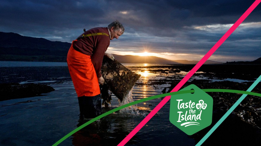 Northern Ireland tweet media