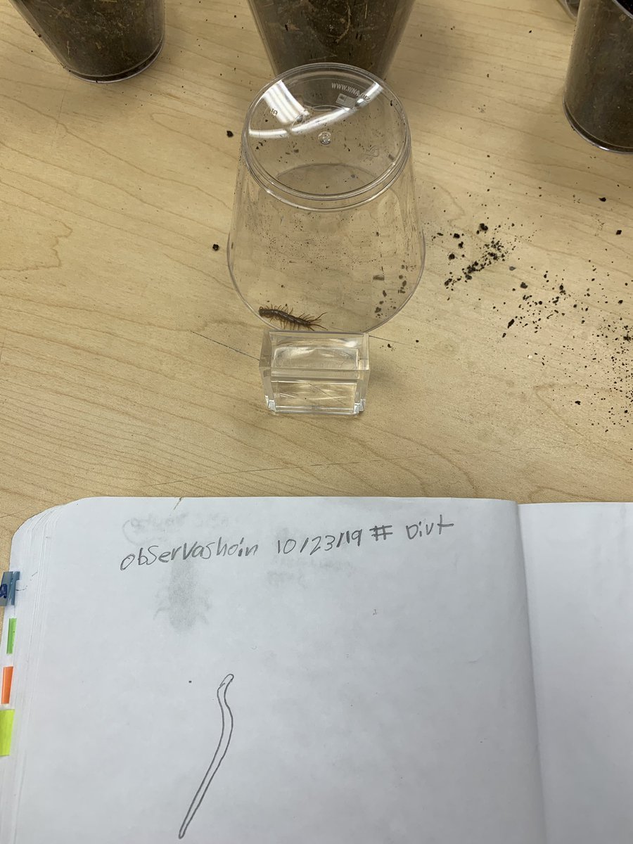 2A loved visiting the Maker Space and investigating creatures and soil!