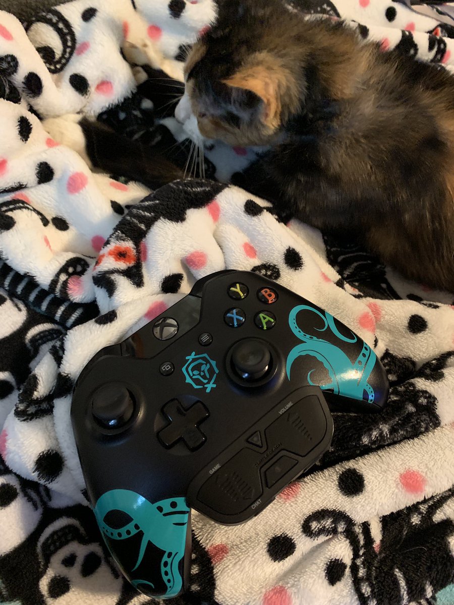 Chloesoffical's tweet photo. @SeaOfThieves just made my best friend this gem https://t.co/MowOIFaDbq