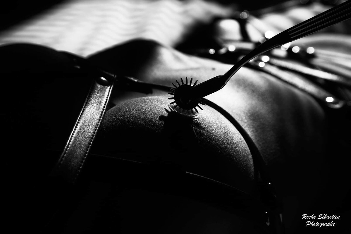 SebiPhoto's tweet image. #shooting #photo #photography #Blacktwitter #nud   #femmesexy #femme #femmefatale #woman #womansexy #girl #girls #sexygirsl #sexy #shootingphoto #shooting #shootingphoto #blackandwhite #noiretblanc #nudephotography #nudeshoot #nudeart #photography #photo #photosexy