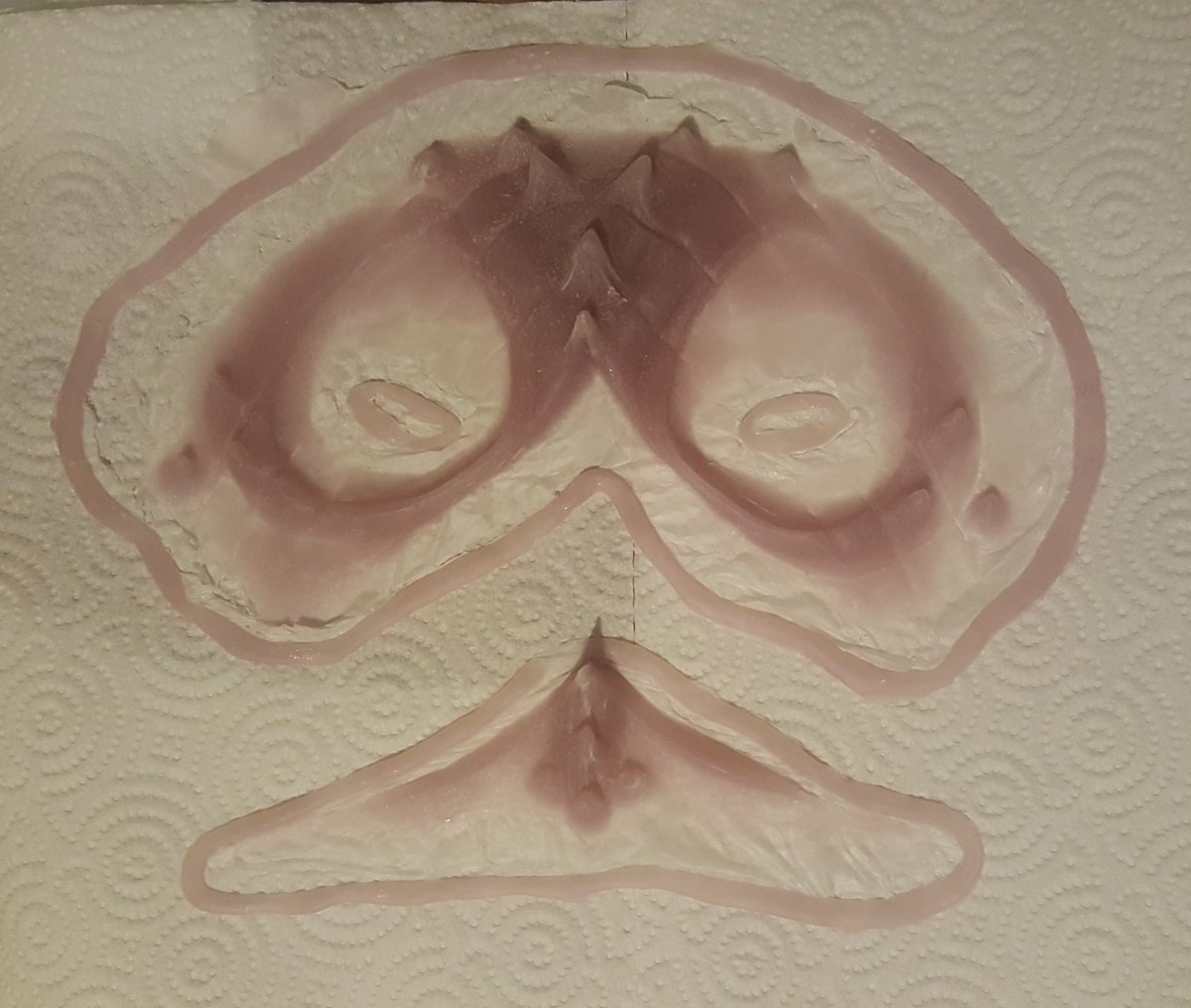 Encapsulated silicone appliances. Ready for a test makeup tonight! Wish me luck!