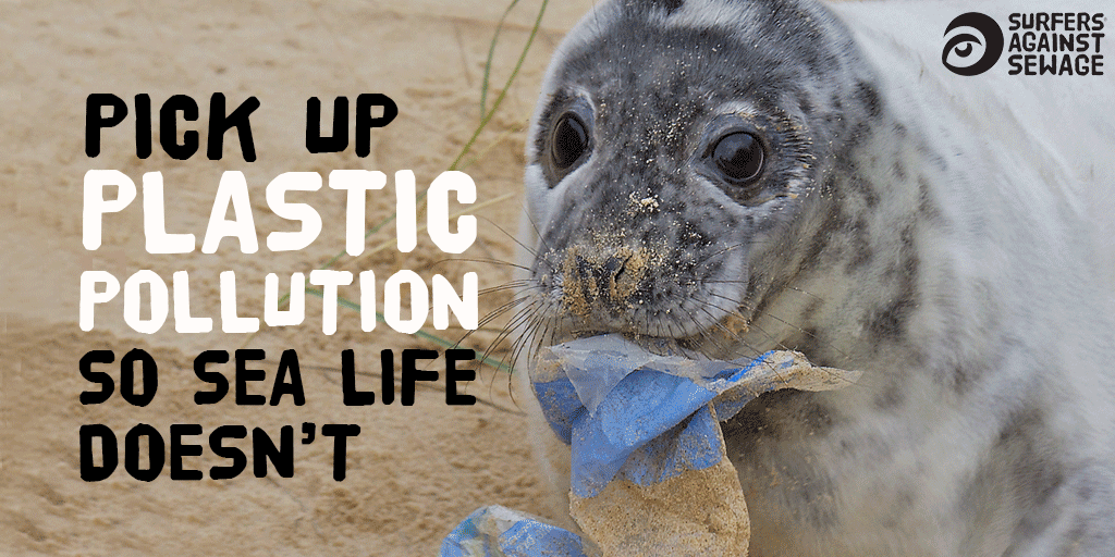 🙌Every piece of plastic pollution we remove counts. It can no longer choke or suffocate sea life. Join a clean &amp; make a difference: sas.org.uk/regions-reps/

RT to thank all the amazing people taking part in cleans to protect oceans &amp; sea life. #AutumnBeachClean #FridayFeeling