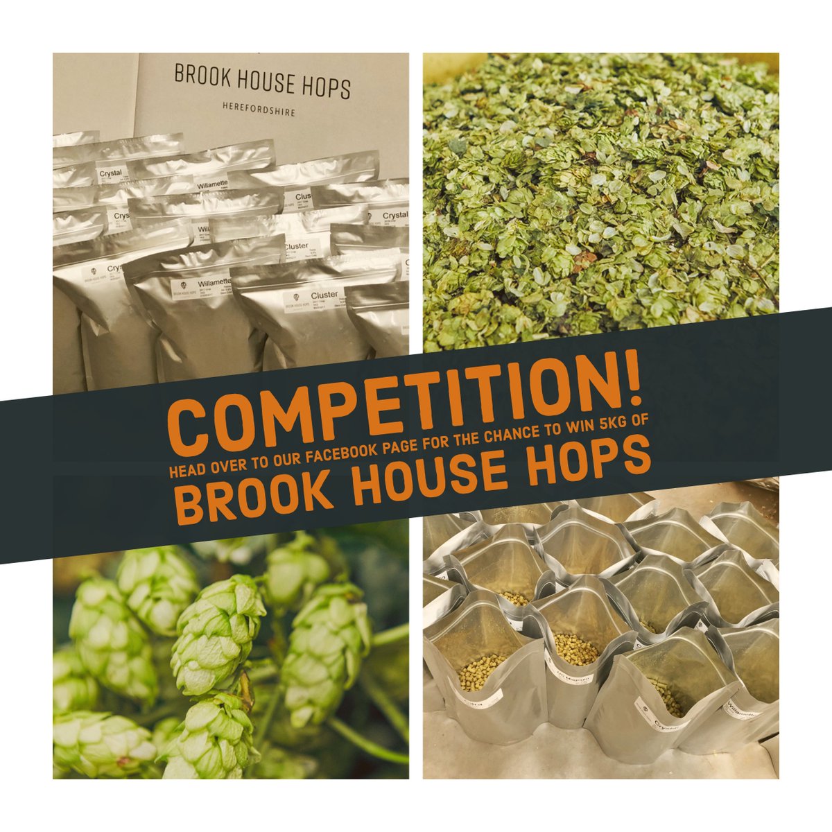 Happy Friday afternoon all! We have launched a hop giveaway competition on Facebook: head over for the chance to win 5kg of our glorious hops! facebook.com/BrookHouseHops/ Good luck! 🤞🍀🤞 #HappyFriday #FridayFeels #Hops #Giveaway #Competition #Brewing