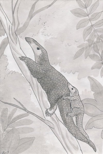 Dankleosteus1's tweet photo. Inktober day 25- Sunda pangolins                                       #inktober #inktober2019 #ink #sundapangolin #pangolin #pangolins #babypangolin #art #artistsonTwitter https://t.co/7urTwZAMcG