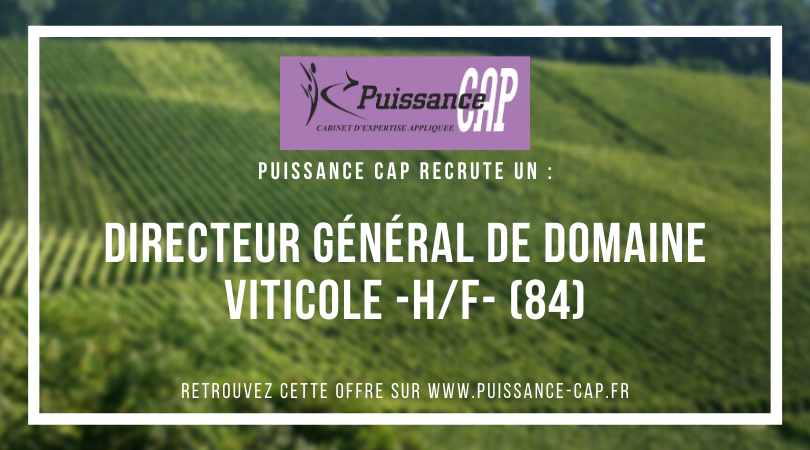 PuissanceCap_RH's tweet photo. Nous recrutons un Directeur Général de Domaine Viticole (H/F) en CDI basé à proximité de Cavaillon (84) #Emploi #direction #Domaine Plus d'infos : https://t.co/FfMxWGF8h0 https://t.co/GJAH73sNYT