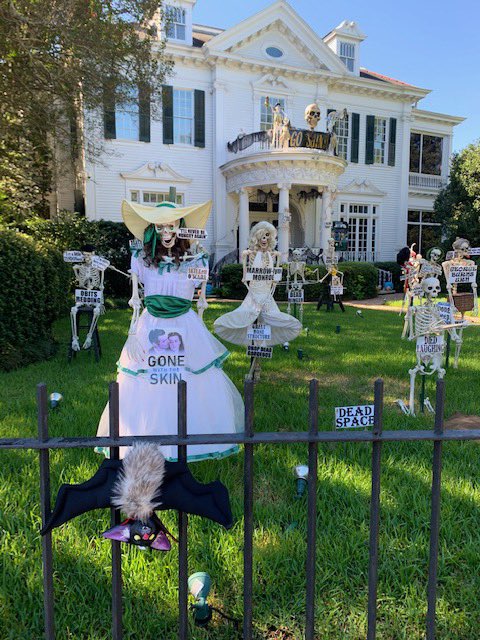 BatholomewBDT's tweet photo. Bat does Skeleton House NOLA!. #batdoesthat #halloween #october #batober #trickortreat #SIXDAYSUNTILHALLOWEEN #6moresleeps #ilovebats #batdoesnola #watchoutnola #bougiebat #skeletonhousenola https://t.co/iyfEjLwjPf