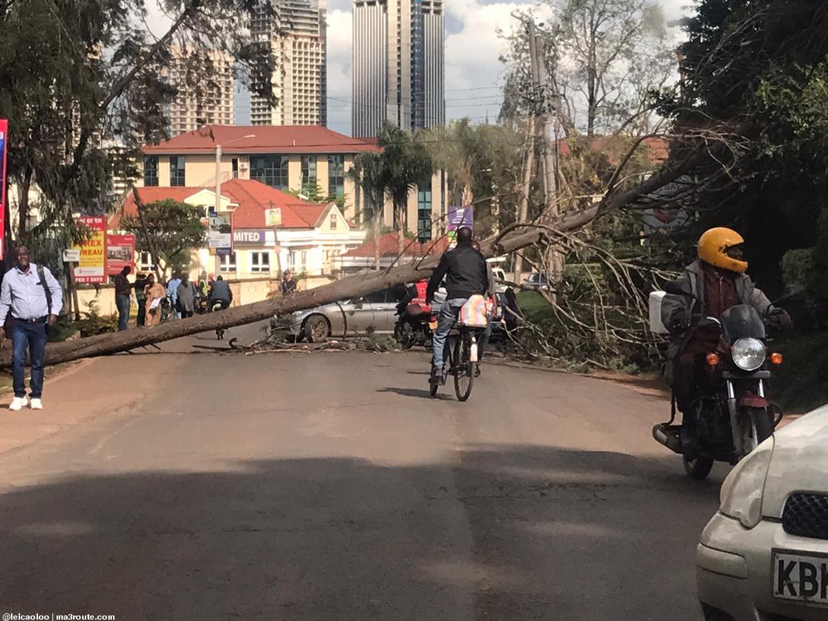 KenyanTraffic's tweet image. tree fallen accross #Riversidedrive just after Office park on your way to Chiromo. Expect traffic

@KeNHAKenya @NairobiCityGov   via @leicaoloo
#KenyanTraffic