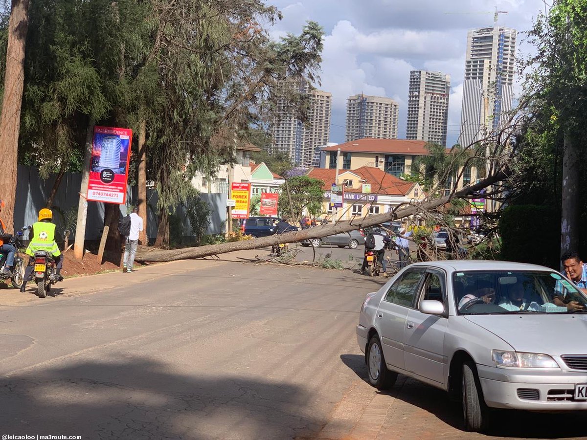 KenyanTraffic's tweet image. tree fallen accross #Riversidedrive just after Office park on your way to Chiromo. Expect traffic

@KeNHAKenya @NairobiCityGov   via @leicaoloo
#KenyanTraffic
