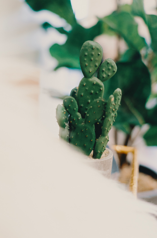 PaletteCo's tweet photo. We dedicate at least one hour every day to putting our phone away and getting the little details of our work completed. It's AMAZING how much more you can complete in that hyper-focused hour than you can with two phone-in-hand for hours. https://t.co/KUWlGRGmcJ