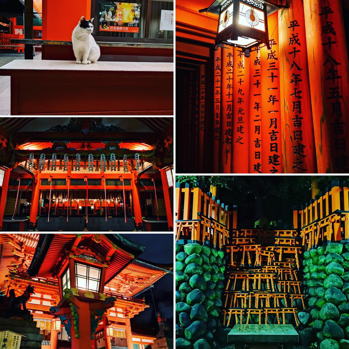 ScienTwins's tweet photo. Very nice day in KyΕto at the end of #SIMS22 We were at the Fushimi Inari-Taisha at night. Had an interesting encounter with the boars. But the view was worth it. #STEMinist #scienceandtravel #scienceandfun https://t.co/7eDgrrXlvA
