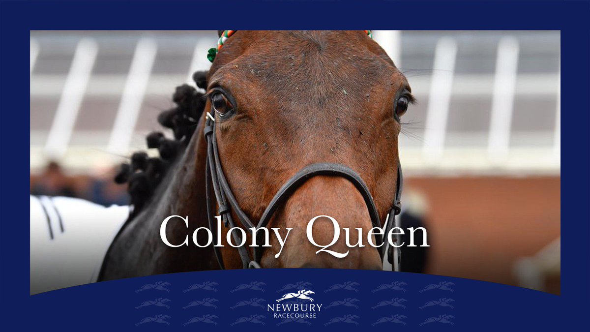 Colony Queen, ridden by Luke Morris, wins the 2.50 <a href="/ThatchamButcher/">Thatcham Butchers</a> Fillies Handicap.