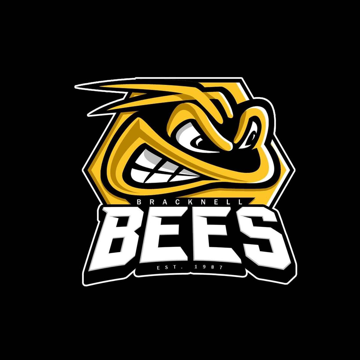 We start half term with two home games this weekend. Saturday 6.15 vs <a href="/Telford_Tigers/">Autocraft Telford Tigers</a> and Sunday 5.30 vs <a href="/Raiders_IHC/">Romford Raiders</a> Who’s got their tickets?  Call 01344 789000 if you still need to buy yours