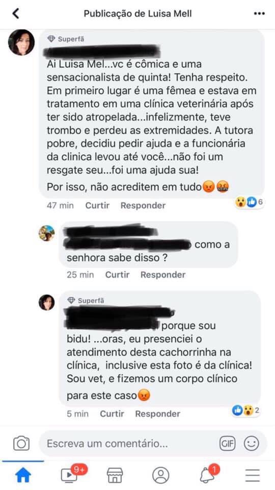 Imagem do corpo da matéria