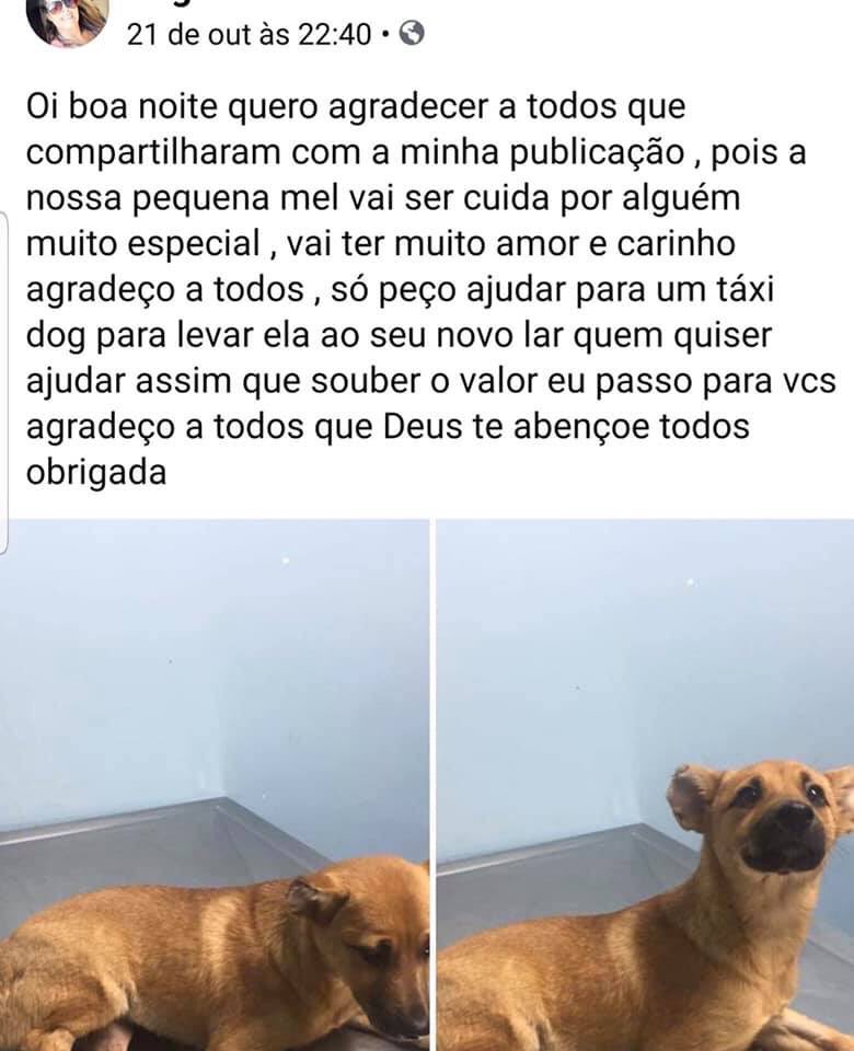 Imagem do corpo da matéria