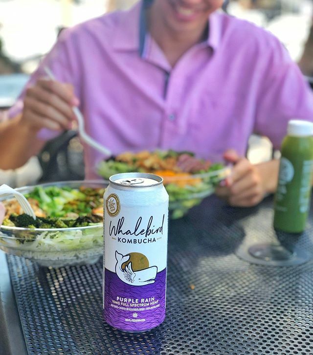 silvergreenssb's tweet photo. Get yourself a CBD drink to slow things down before midterm season! https://t.co/1cTA1QxUOV https://t.co/jMoudXUdw9