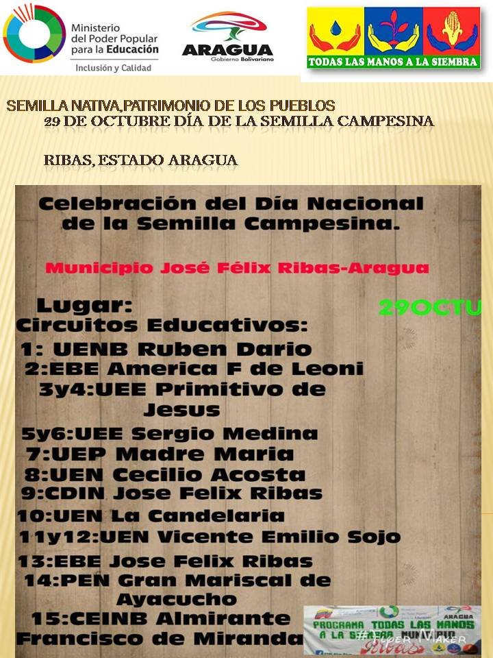 Asi nos preparamos en los circuitos de Ribas,de #AraguaTierraDeConucos,para celebrar el día de la semila campesina este 29 de Octubre,@psuvaristobulo ,@JorgePerezVZLA ,<a href="/PTMSNACIONAL/">Programa Todas las Manos a la Siembra</a> ,<a href="/diazpablo874/">PTMS ARAGUA</a> ,<a href="/CRIFPMA/">CRIFPMA</a> ,<a href="/yovam120/">Yobany Marchena</a> ,<a href="/fotoecocultura/">Yoger Armas ¡Siempre Por El Camino De Chávez!</a>