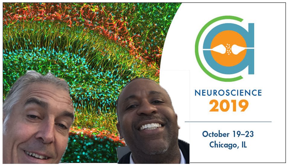 JavinPierce's tweet photo. Back from Neuroscience 2019, learned tons, great time with Dwain-Morris Irvin PhD 
@innovestglobal
 saw amazing hopeful innovations in brain cancer, stroke, parkinson's, alzheimer's, addiction. Time to make the organoids!
#Parkinsons #stroke #neuroscience #lifenaut #spacescience https://t.co/ATmDXy6Bjv