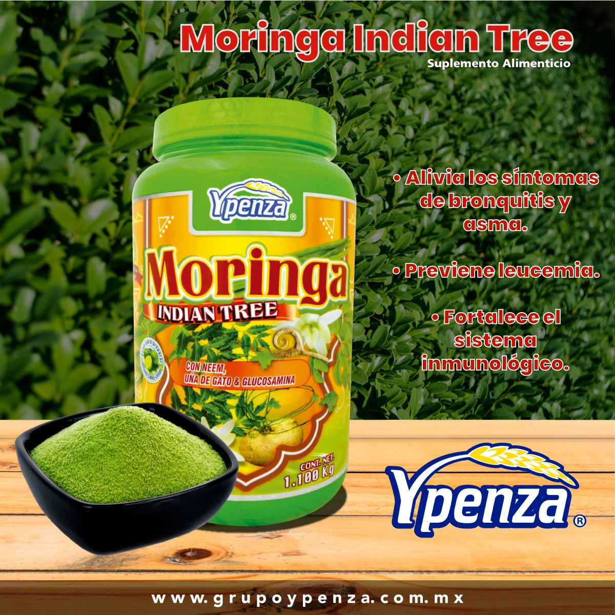 Beneficios de la Moringa en los hombres . #moringa #moringabenefits  #tiktokshop #tiktokshopfinds #creatorsearchinsights #paratii, image size:1200x1200