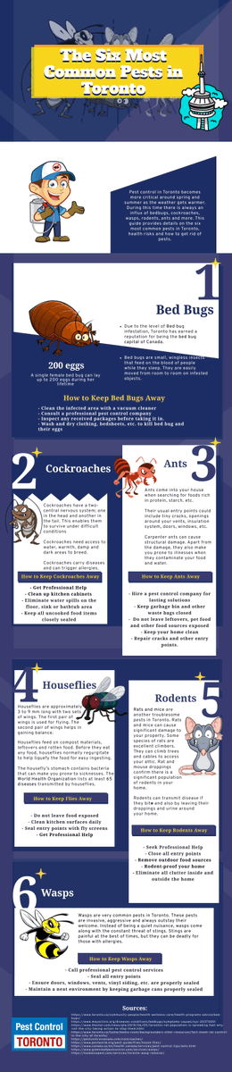 InfoGraphicsNet's tweet image. Learn About the Most Common Pests in Toronto infographicsonline.net/learn-about-th…