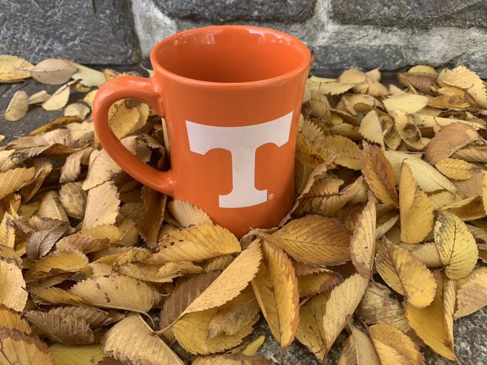 MissingMug's tweet image. #fall #northeast #leafpile #missingbae #wheresmymug