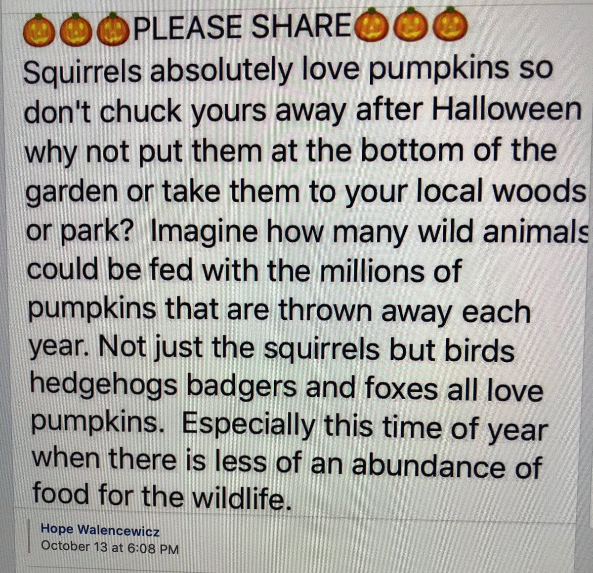 Beth Ostrosky (@bethstern) on Twitter photo 