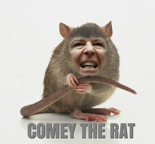 Crooked James Comey: I'm moving to New Zealand if Trump wins re-election