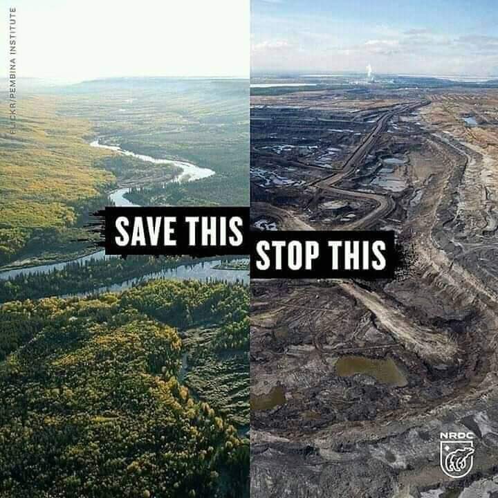 #savethelowerzambezi can we support this work and not loose another national park to mining in Zambia @