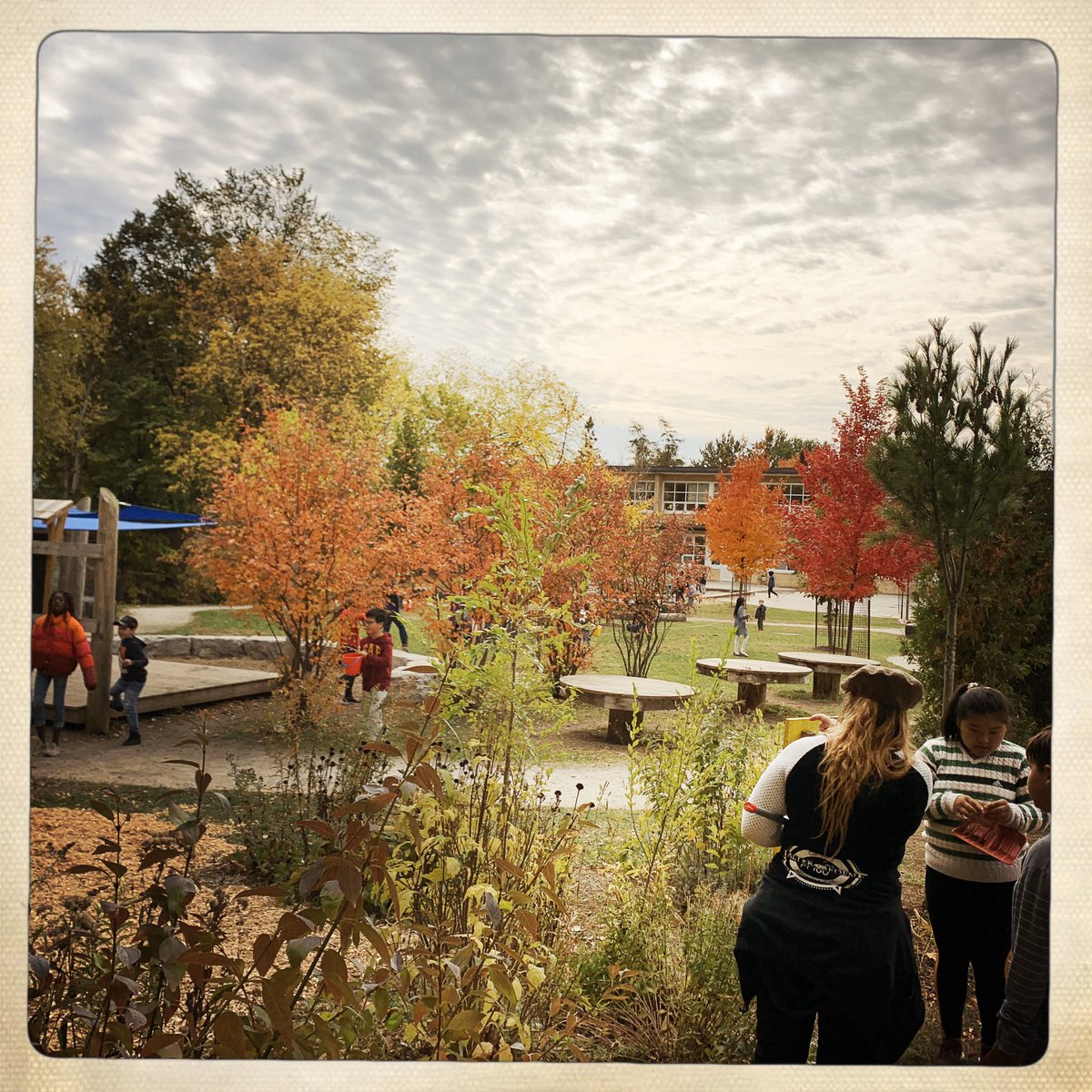 An inspired Fall day @dhornelltweets as students prepped for the planting of our #PollinateTO gardens. The butterflies, bees and our entire Mimico community will have these little horticulturists to thank for all their hard work in the coming Spring. #SmallButMighty