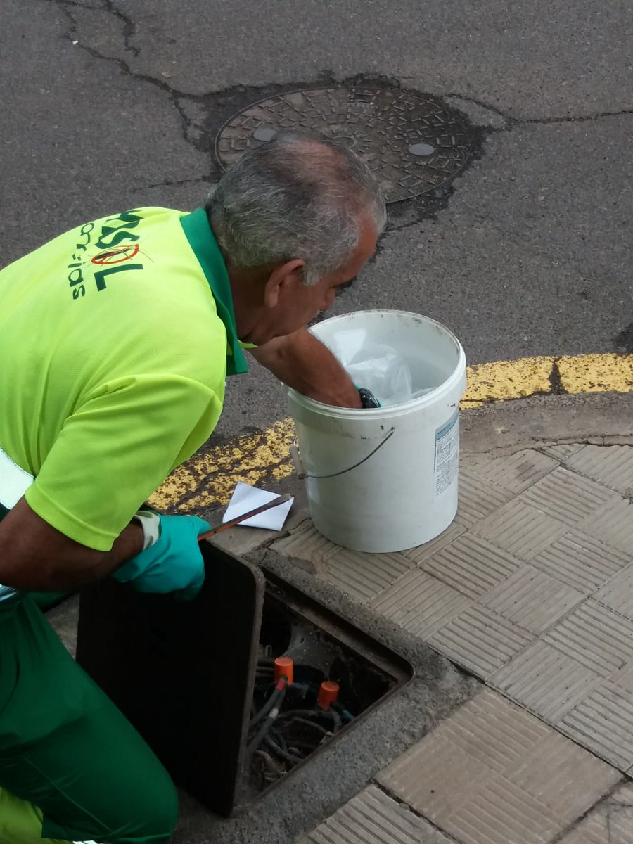 Jesus Melian tweet media