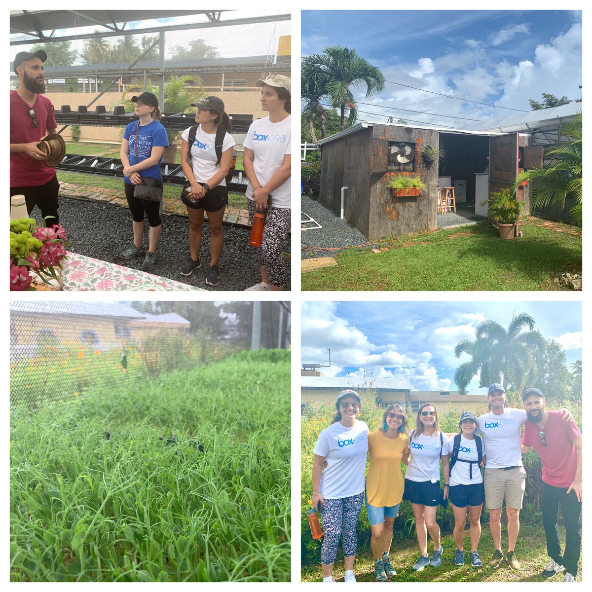 With our <a href="/NetHope_org/">NetHope</a> community today we get to learn about food relief &amp; resiliency with <a href="/WCKitchen/">World Central Kitchen</a>, focused on ending hunger. We start with a visit to an organic rooftop farm in San Juan rebuilt after the hurricane &amp; now thriving. #resilience #hunger <a href="/Box/">Box</a>