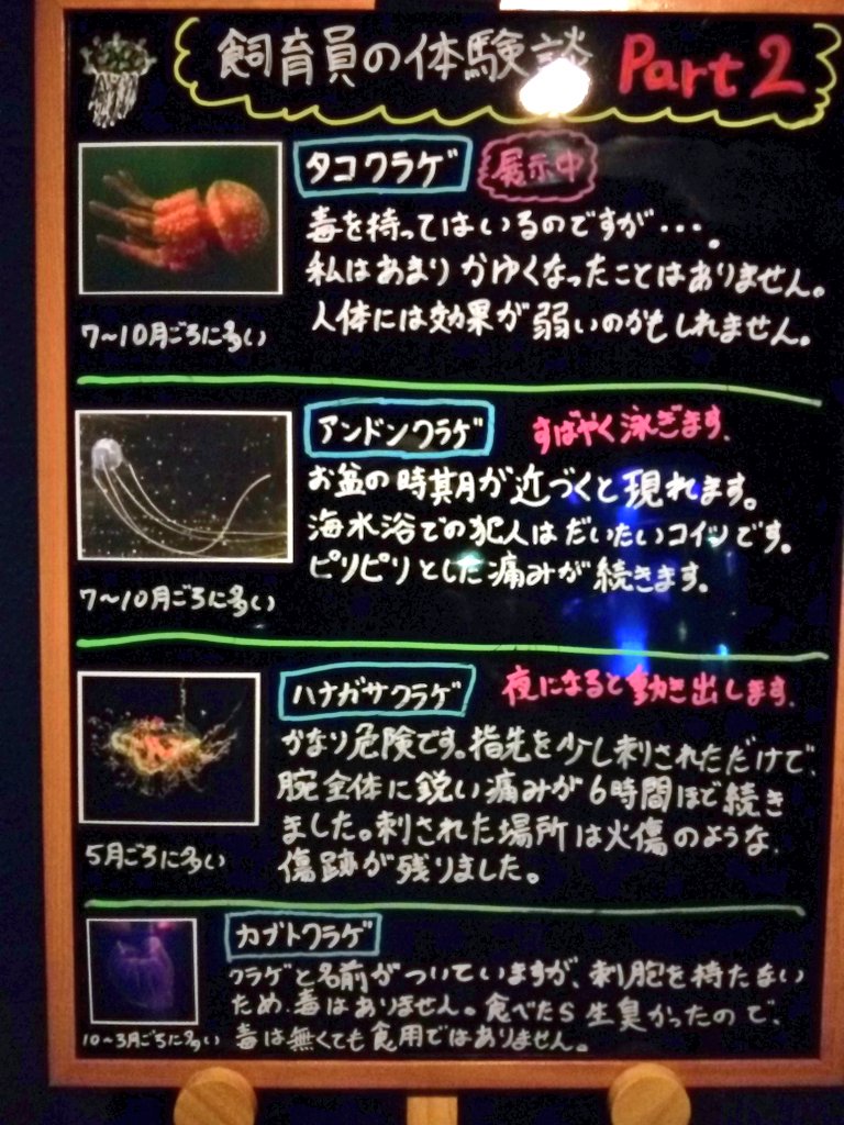 針を突き刺したような痛みが 食べたら生臭かったので食用ではありません 志摩マリンランドではクラゲの紹介として飼育員さんの経験談が語られている Togetter 針を突き刺したような痛みが 食べたら生臭かったので食用ではありません 志摩マリンランドではクラゲの紹介として飼育員さんの経験談が語られている Togetter