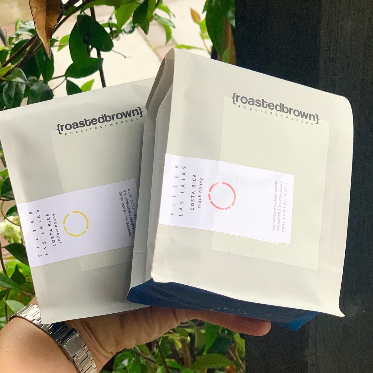 New Blog post up on sourcing these beauties and how Mammy Brown got to bro g the finished product back to the farm. We’re releasing 5 processes from @laslajascafe this season, they’re definitely worth tasting. roastedbrown.com/blog/las-lajas…
