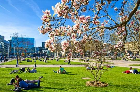 ExpUrbaines's tweet photo. Une récente étude démontre l'impact des espaces verts en #ville sur l'amélioration du #BienÊtre des citadins, mais également sur leur santé 🌳 Avec plus de la moitié de la population résidant en zone urbaine, la nature en ville est un enjeu majeur https://t.co/1dfry4H2b6 https://t.co/ytv3Ky3Thc