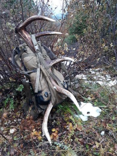 Blacks Creek (@blackscreek) on Twitter photo 