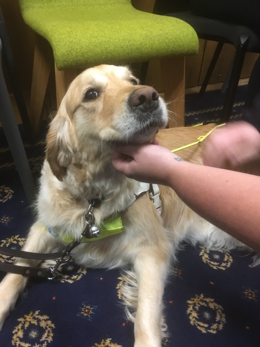 HMLandRegistry's tweet photo. We're proud of the staff at our Durham office, who recently welcomed representatives from @guidedogs for a charity fundraising event and raised over £1400 for this good cause.  #WeareHMLR https://t.co/ZlfiPn32ZO