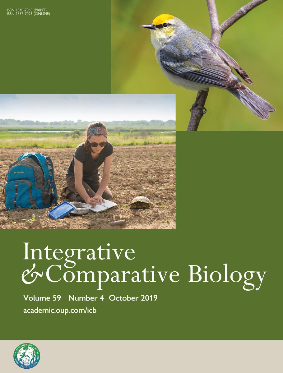 check out our latest issue of ICB including symposia organized by themydlarzlab.com @SallyLeys @UCSB_OakleyLab @cnidimmunitylab @contessa_ricci @bradford_dimos @VirginiaMWeis @WeisLab @OSUIB #biology #biologists #stress #genomic #ecology #toxins #proteomic #cnidarian