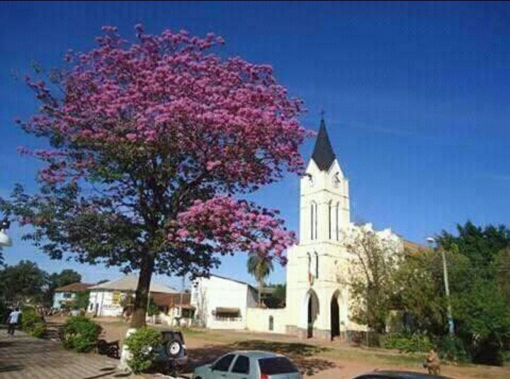 kakysf's tweet image. Hoy es su aniversario y no hay ánimos para festejar. 
Nuestra Perla del Oriente se encuentra entre cenizas, pero firme en la lucha por la democracia. #Roboré #Chiquitanía