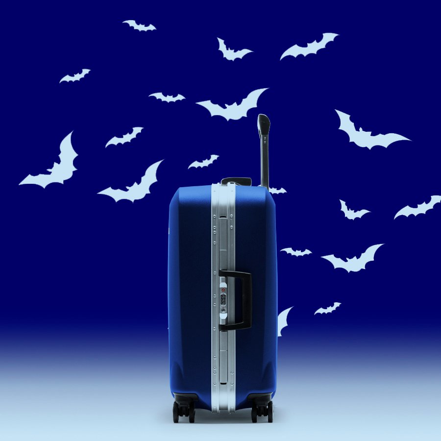 RISEgear's tweet photo. 🎃Trick or treat!🎃 SAVE 20% storewide using code-> BUMP20⁠  ⁠
⁠
(HURRY ends at the stroke of midnight Oct 31st)⁠ https://t.co/T4G47lo0tn