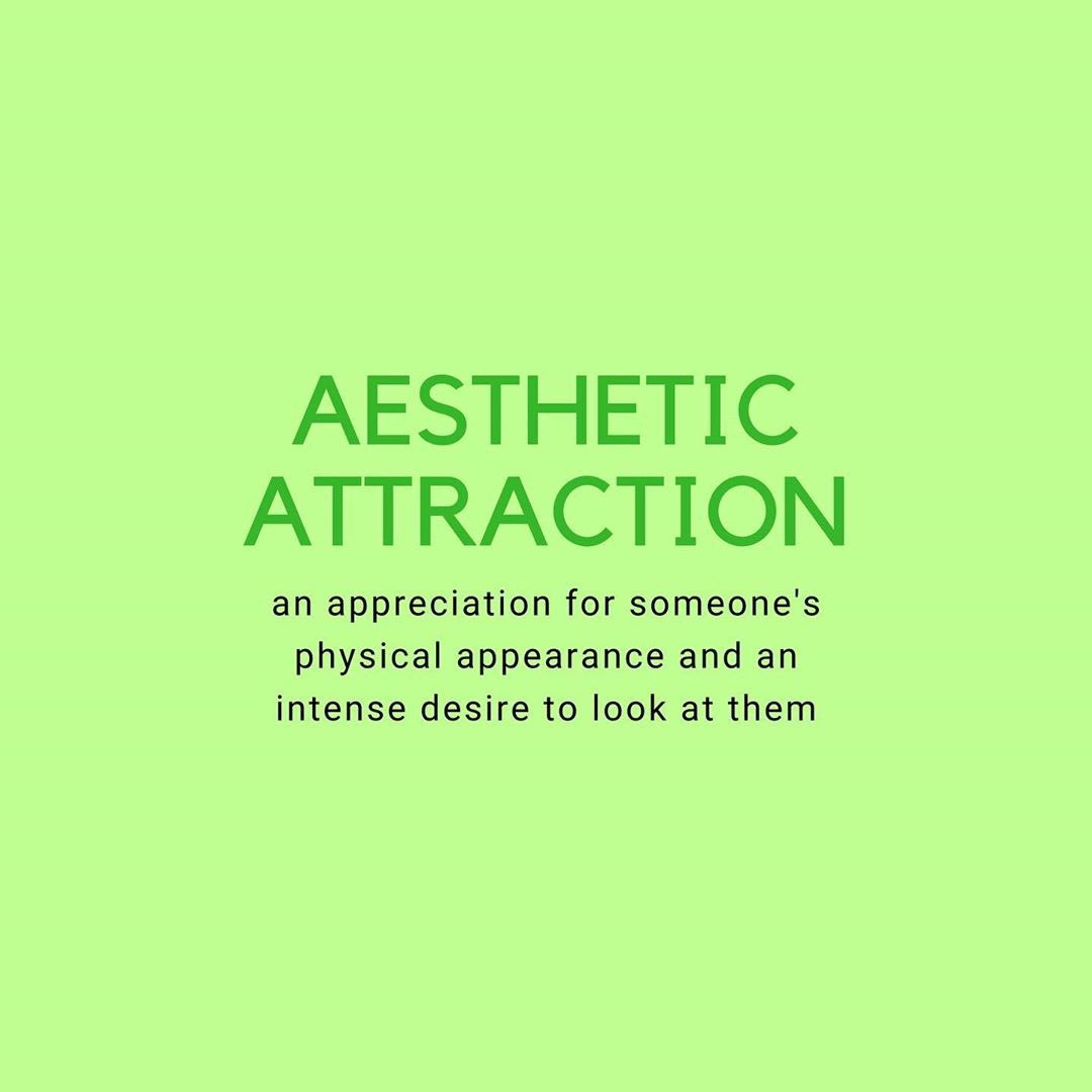 AESTHETIC ATTRACTION: an appreciation for someone's physical appearance and an intense desire to look at them.