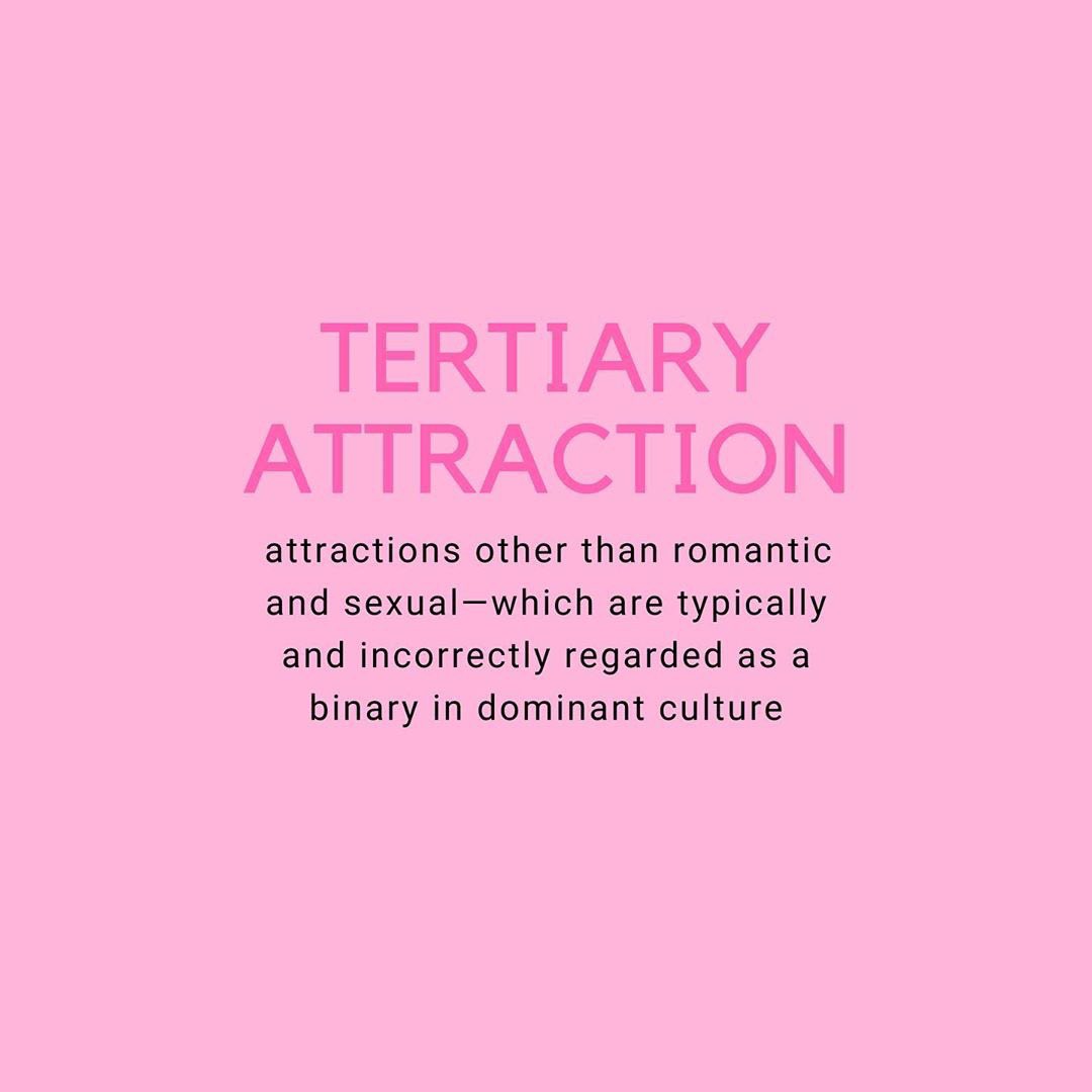 TERTIARY ATTRACTION: this term is used by a-spec individuals to refer to attractions other than romantic and sexual, as these two are typically and incorrectly regarded as a binary in dominant culture.
