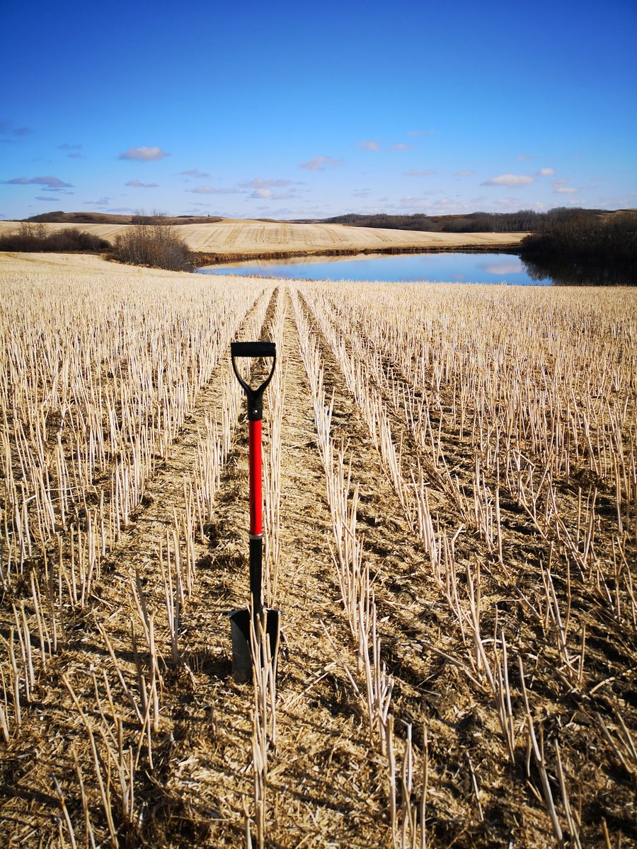 Kirsten_Roy's tweet photo. Full week of sampling, quite the weather fluxes, still getting it done so we can help plan for next year. Always nice to be in the field. #growmoreprofit #westcdnag #harvest19 #sample19 #allthewashes https://t.co/Xk0UTTDLpD