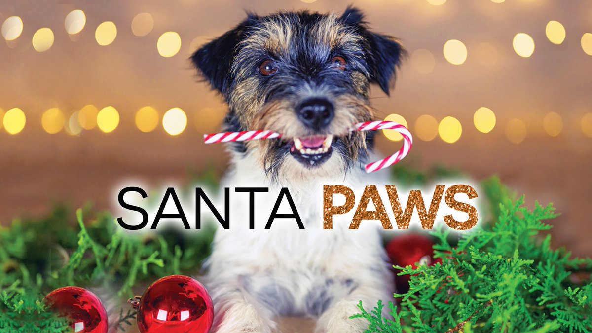 Mark your 📆! You and your furry family are invited to take photos with Santa on November 10 &amp; 17, and December 8 &amp; 15 from 7-9 am!