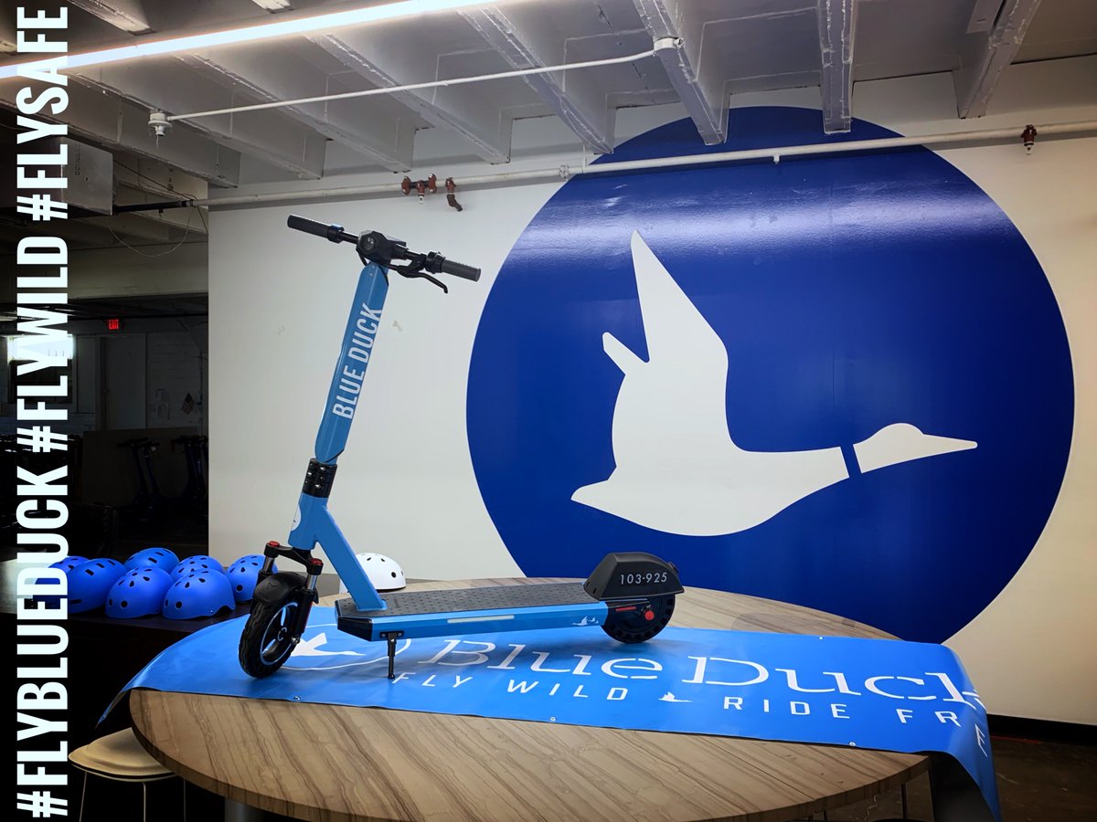 Blue Duck tweet media