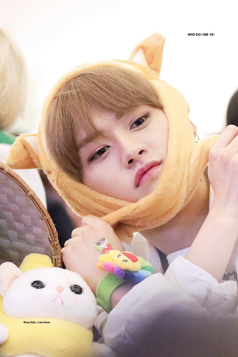_Beatch_Bitch_'s tweet photo. I know, you know, Lee Know's birthday!!🐱🎁🎈 🎆🎉
 #HappyLeeKnowDay #리노는기여어  #LeeKnowIsCute #StrayKids https://t.co/cmv8nTUAqW