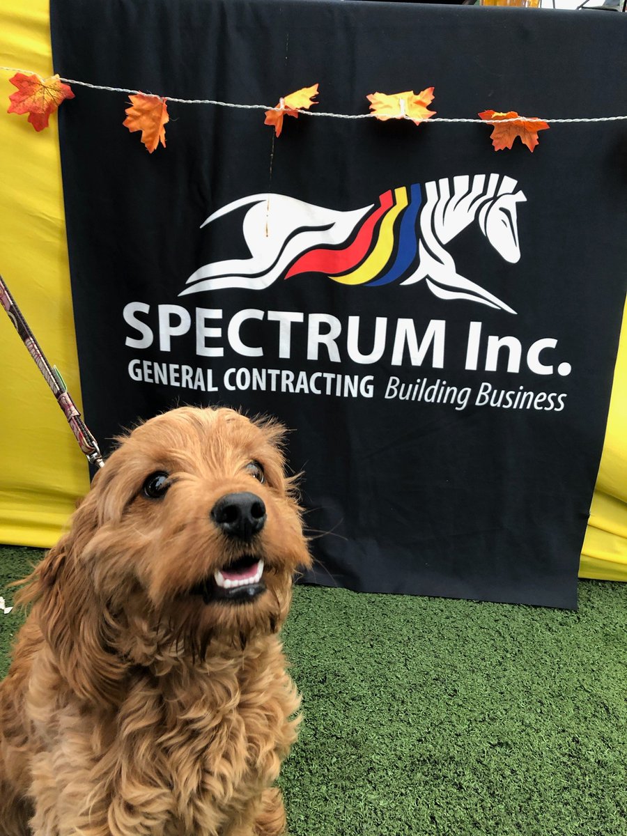 SpectrumIncGC's tweet photo. Team #Spectrum took home the gold for Best Overall Chili at the 2019 @cushwake Chili Cook-Off!! Thanks so much to everyone who stopped by!🌶️🔥 https://t.co/v66jIhESAn
