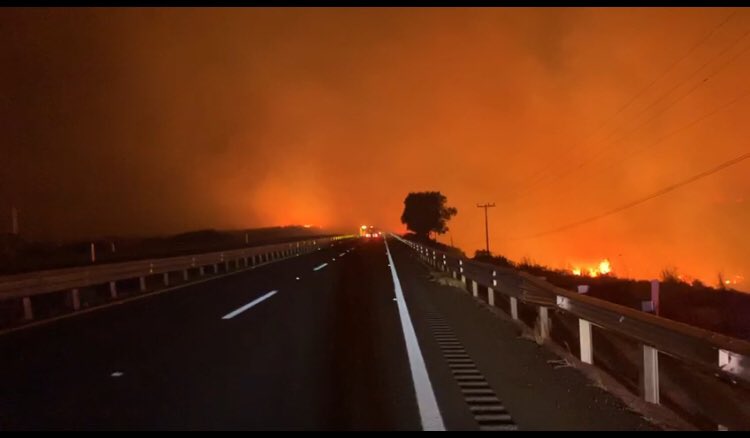 la_caroE's tweet image. Ora, culeros... ¿por qué nadie habla de lo que estamos viviendo acá en Baja California?