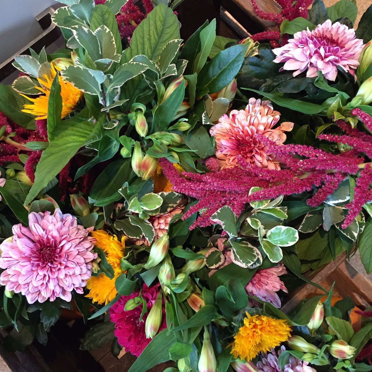 It’s <a href="/Whiteladiesrd/">Whiteladies Market</a> tomorrow 8.30-2.00 and we’ve got flowery pumpkins to pretty up Halloween celebrations or to just celebrate Autumn we’ve also got the last cutting garden dahlias